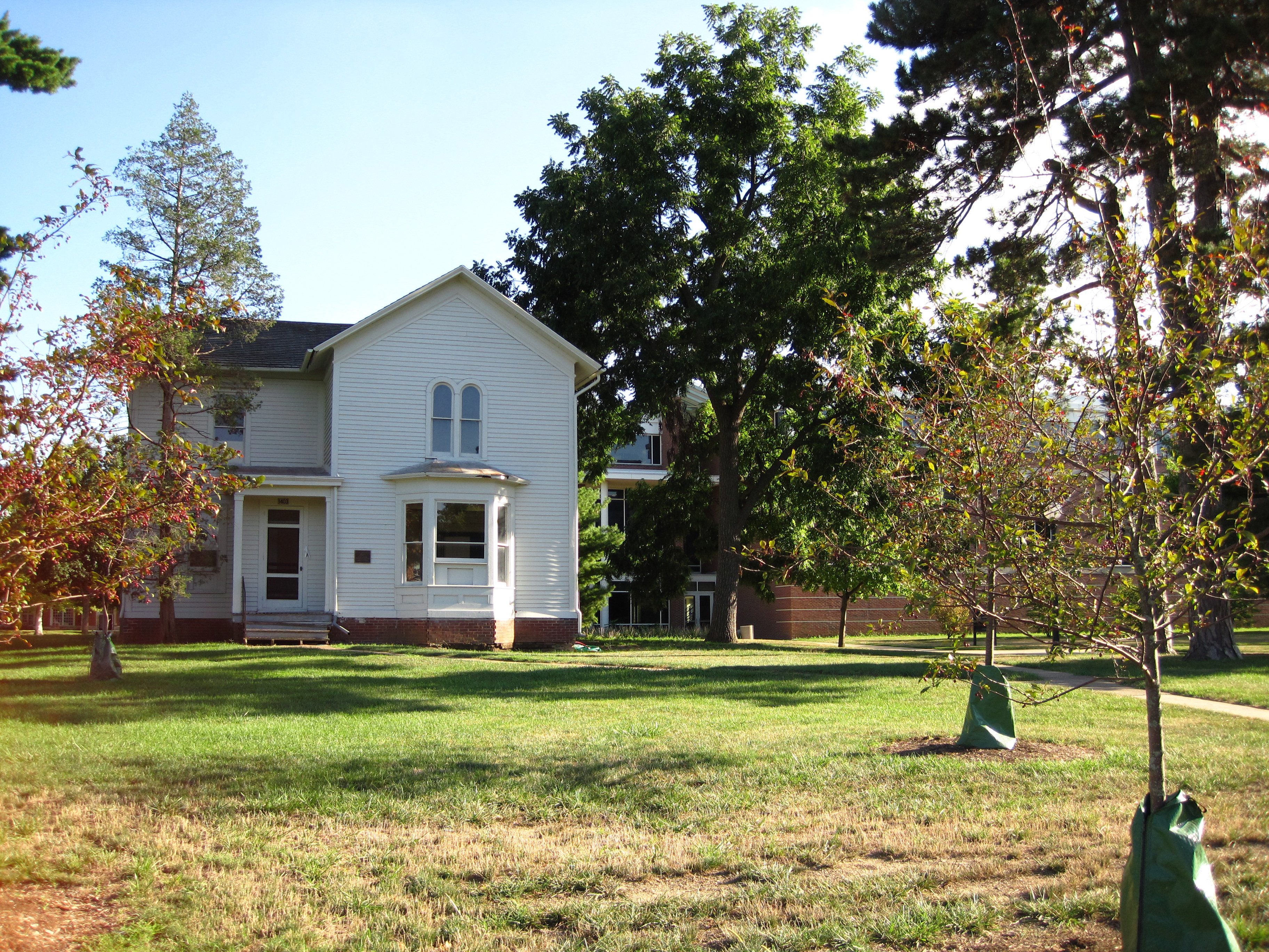 Information about "IMG_4935.JPG" on mumford house ChampaignUrbana